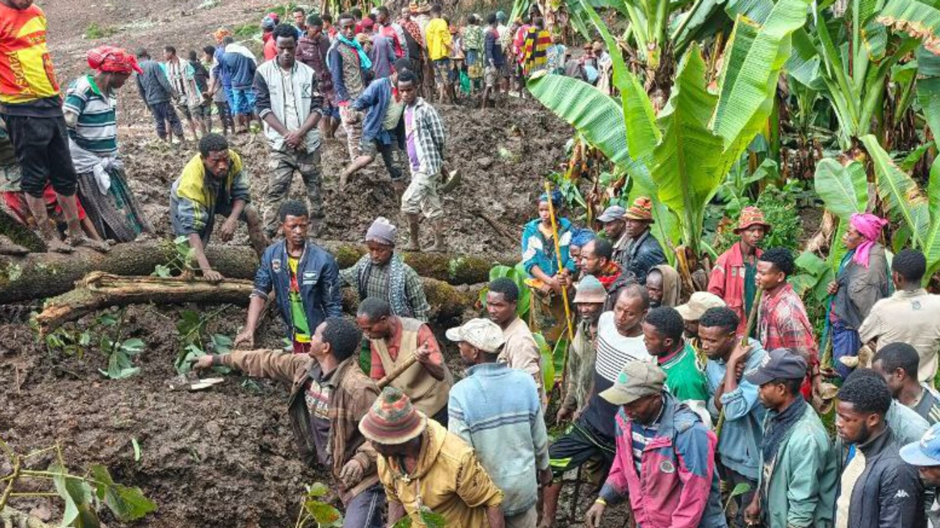 At least 80 killed and many more missing after landslides in Ethiopia 